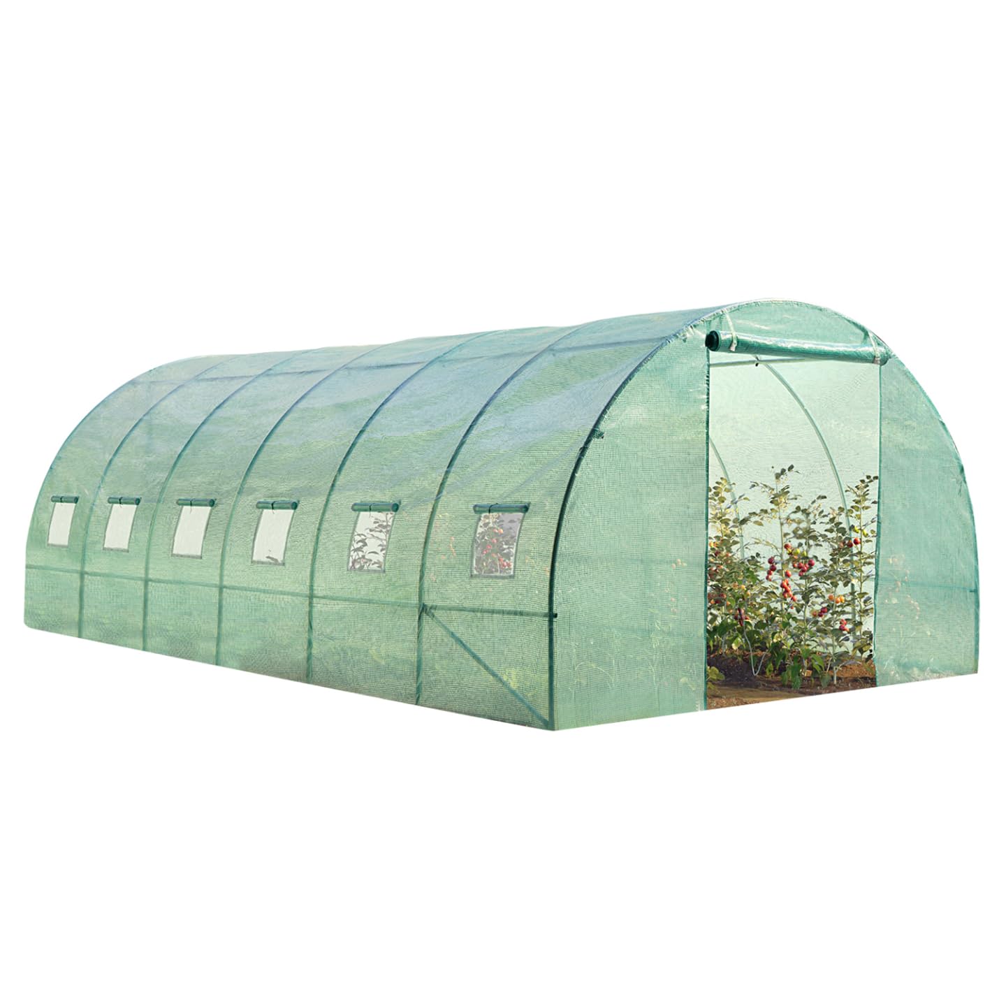 Probache - Serre Tunnel de Jardin 18m² Verte Gamme maraîchère CRIMÉE 6x3m