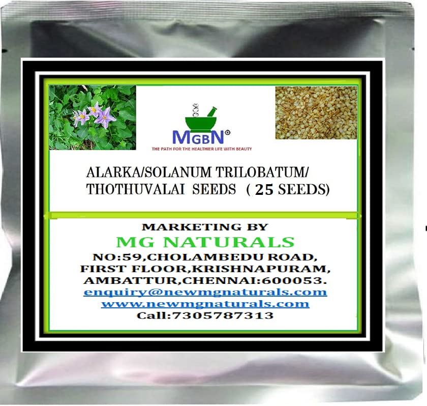 Alarka|Solanum Trilobatum|Thothuvalai 25 seed (B09RV719B9) Amazon Price History, Amazon Price Tracker