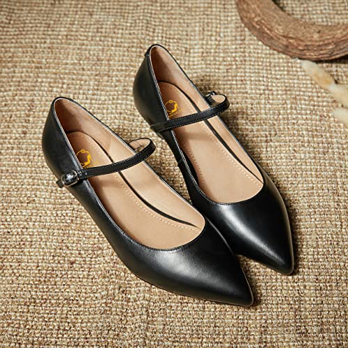 SHODENSE Women Low Kitten Heels Mary Jane Shoes Pointed Closed Toe Ankle Strap Pumps Sandals 1" Chunky Block Heel Comfortable Mary Jane Flats Ladies Girls Dressy Elegant Cute Fall Shoes 4-11 M US4