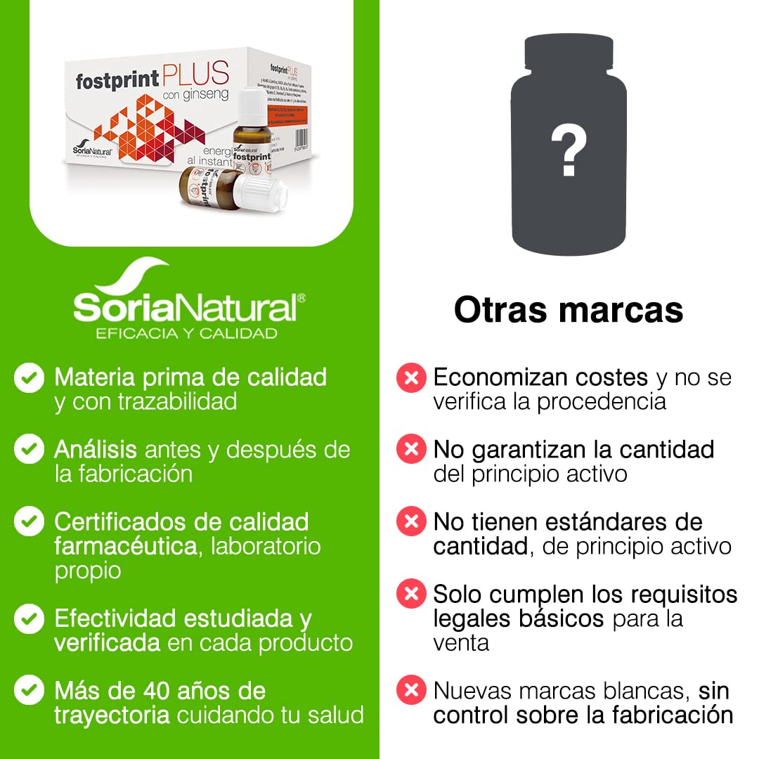 jalea real con ginseng y l-carnitina lidl Jalea Real con Ginseng - Vitaminas para el Cansancio y la Memoria -  Vitaminas Grupo B, Biotina, Vitamina E, Vitamina D, L Carnitina y Propóleo  Puro