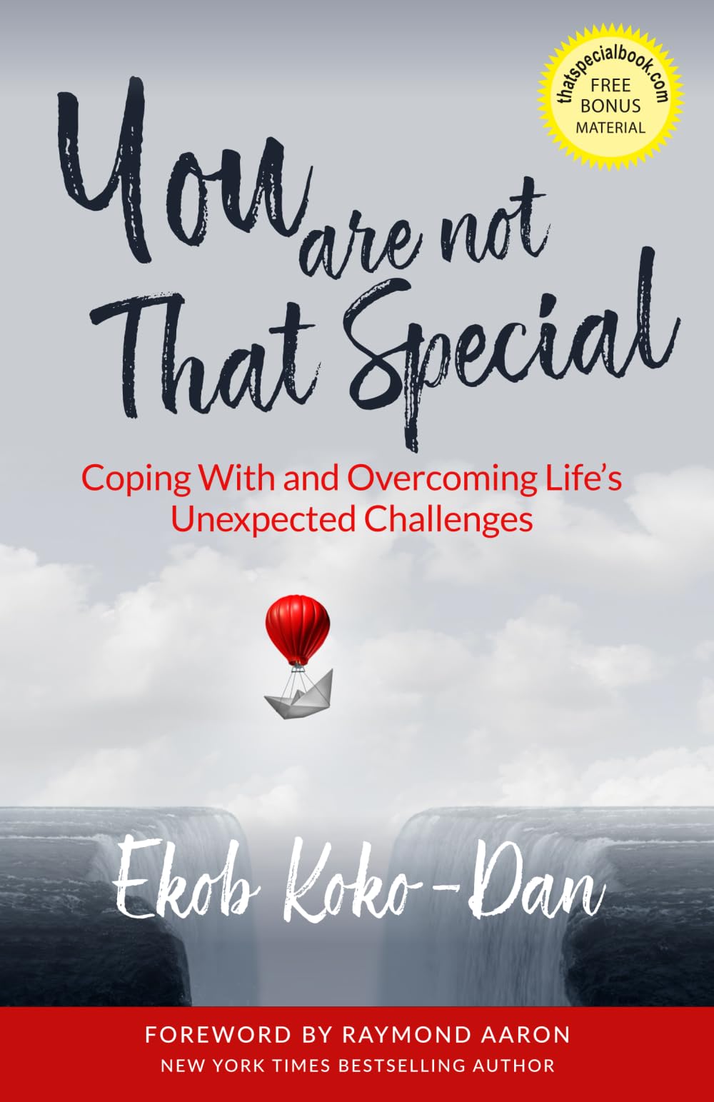 You Are Not That Special: Coping With and Overcoming Life's Unexpected Challenges