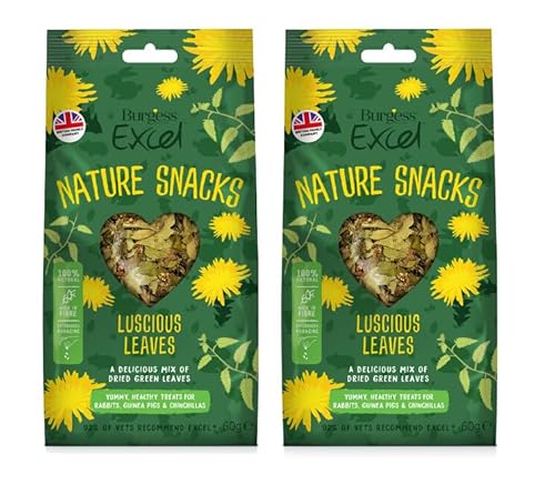 2x 60g Burgess Excel Luscious Leaves Forage Mix for Rabbits, Guinea Pigs, and Chinchillas – Bundled by GetInStyle Shop