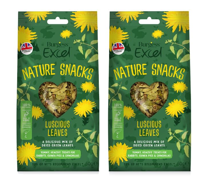 2x 60g Burgess Excel Luscious Leaves Forage Mix for Rabbits, Guinea Pigs, and Chinchillas – Bundled by GetInStyle Shop