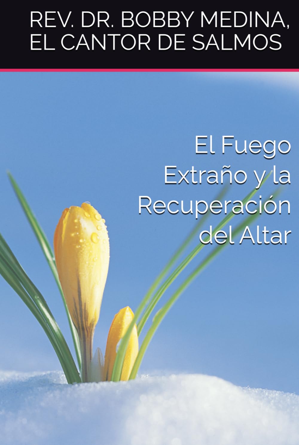 El Fuego Extraño y la Recuperación del Altar