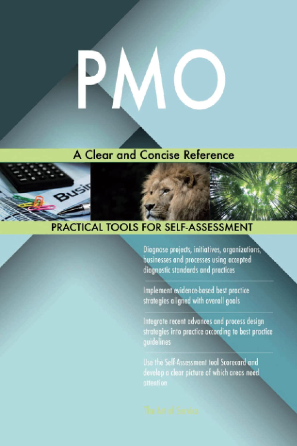PMO A Clear and Concise Reference