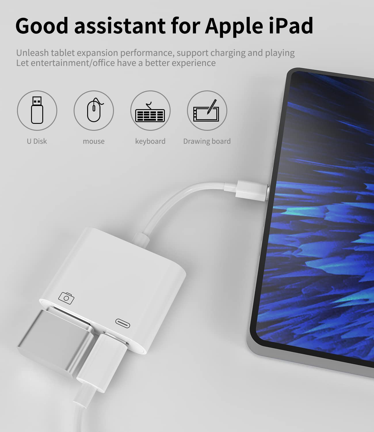 Amazon.com: HOYULLI Lightning to USB A Adapter OTG Cable Connector