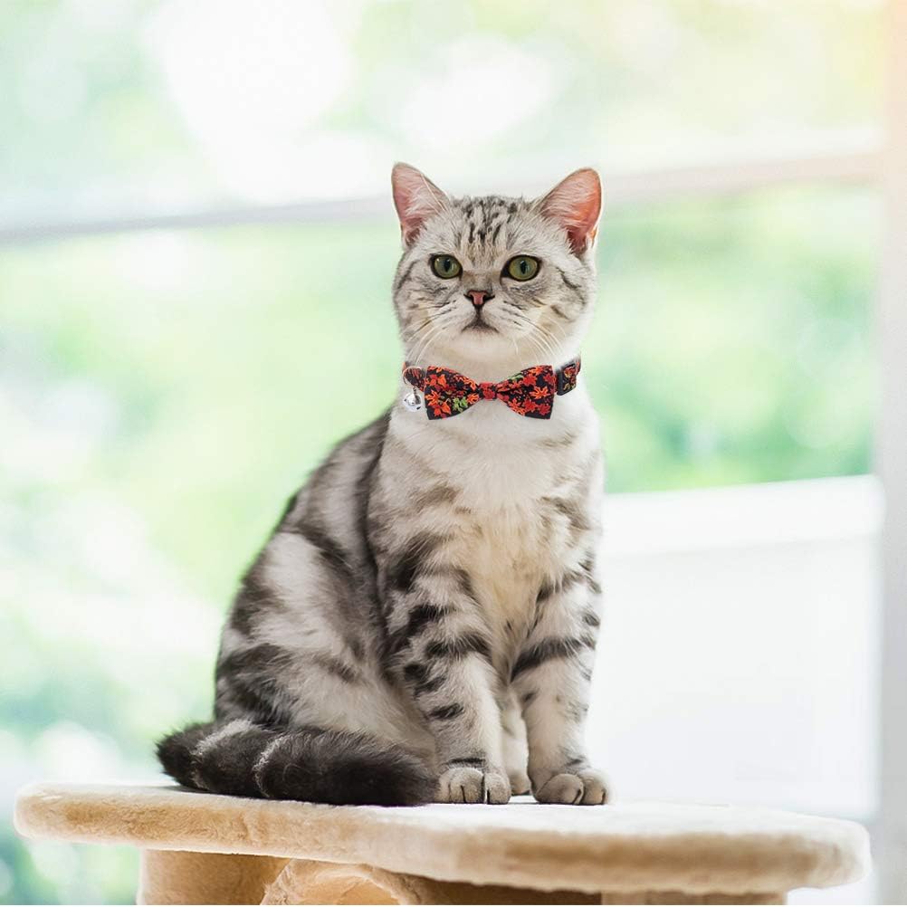 PUPTECK Thanksgiving Cat Collar Bowtie - 2 Pack Cute Floral Fall Pattern Pet Breakaway Collars with Clear Bell for Cats Puppies Kittens, Maple Leaves & Pumpkin, Summer and Autumn