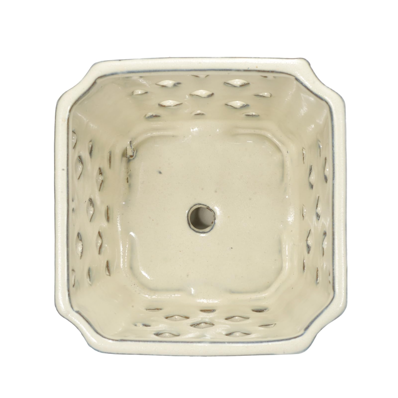 W&W Vaso per orchidee con fori e piattino per rinvasare e coltivare meglio, bianco crema, 17,8 cm