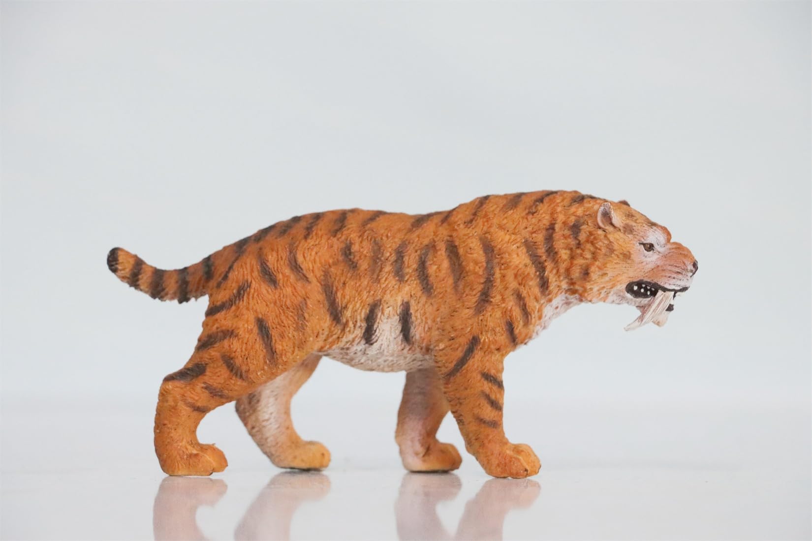 Amazon.co.jp: BACALYSO | TNG マカイロドゥス 剣歯虎 更新世 動物