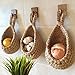 MAZAGE Handwoven Wall Hanging Vegetable and Fruit Basket/Kitchen Organizer and Storage Solution(DEF 3PCS) TWF