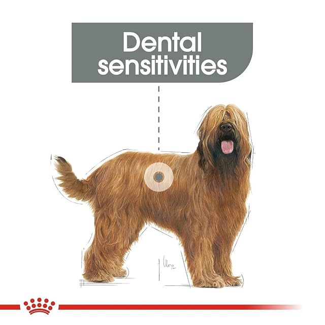 Foto 5 de 5 de Royal Canin CCN Maxi Dental Care 9kg 9000 g