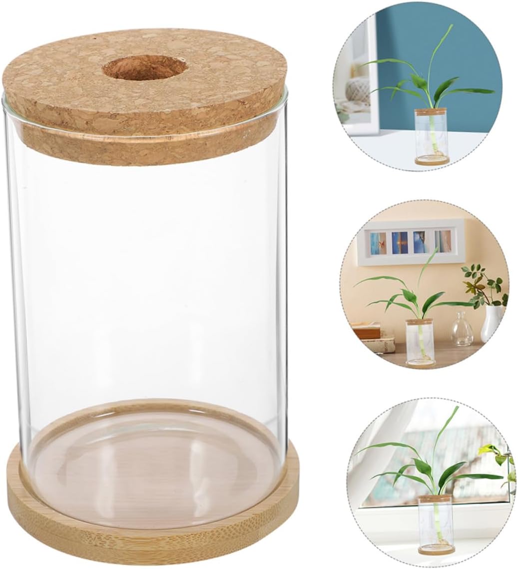 Cabilock Sets DIY Flower Plant Glass Terrarium Lid Sturdy Micro-Landscape Bottle for Home Decor