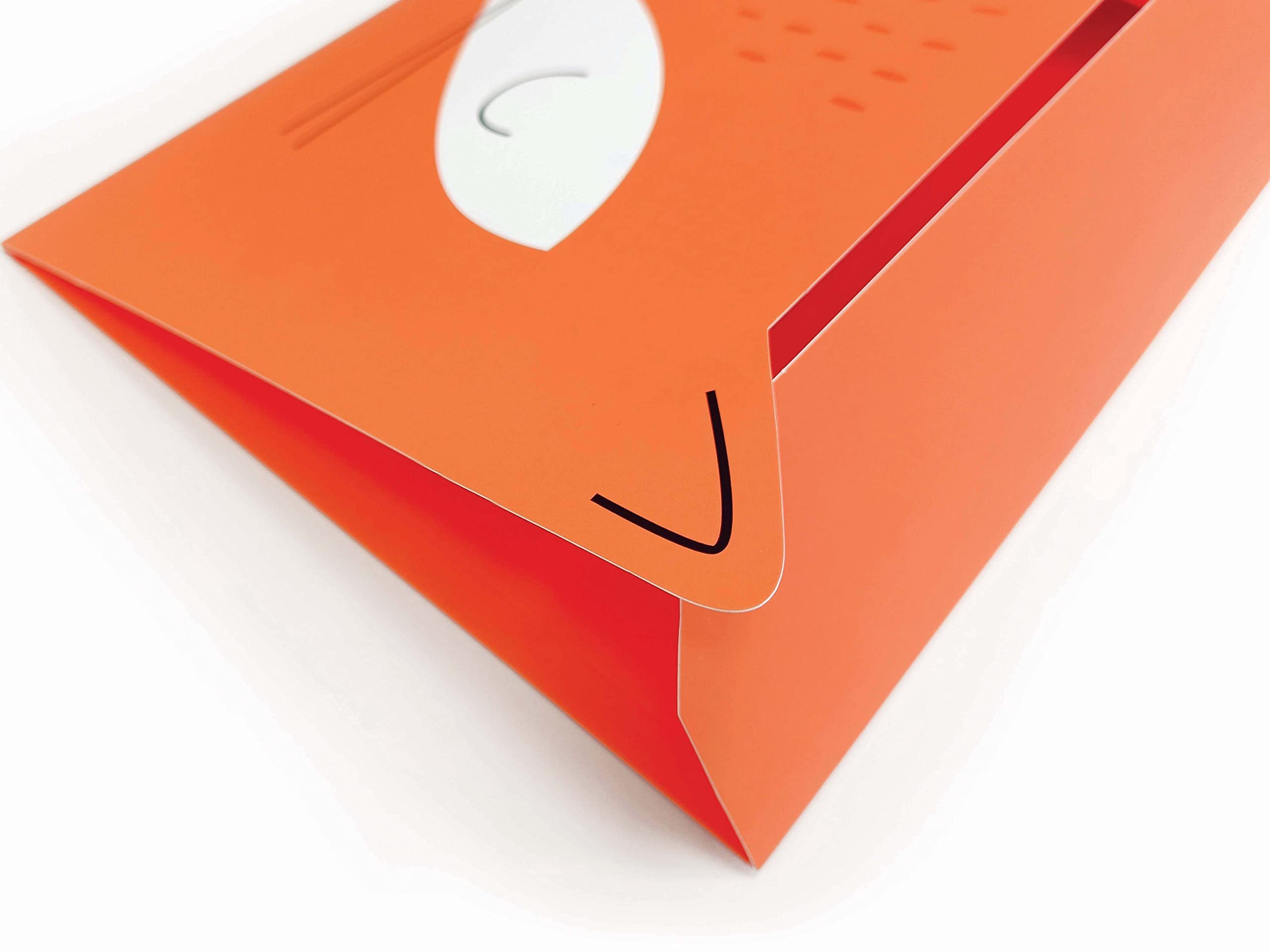 Cartella Cartone Bambini A4 - Design Volpe, Soft-touch, Corda Elastica, Divertente - Foto 6