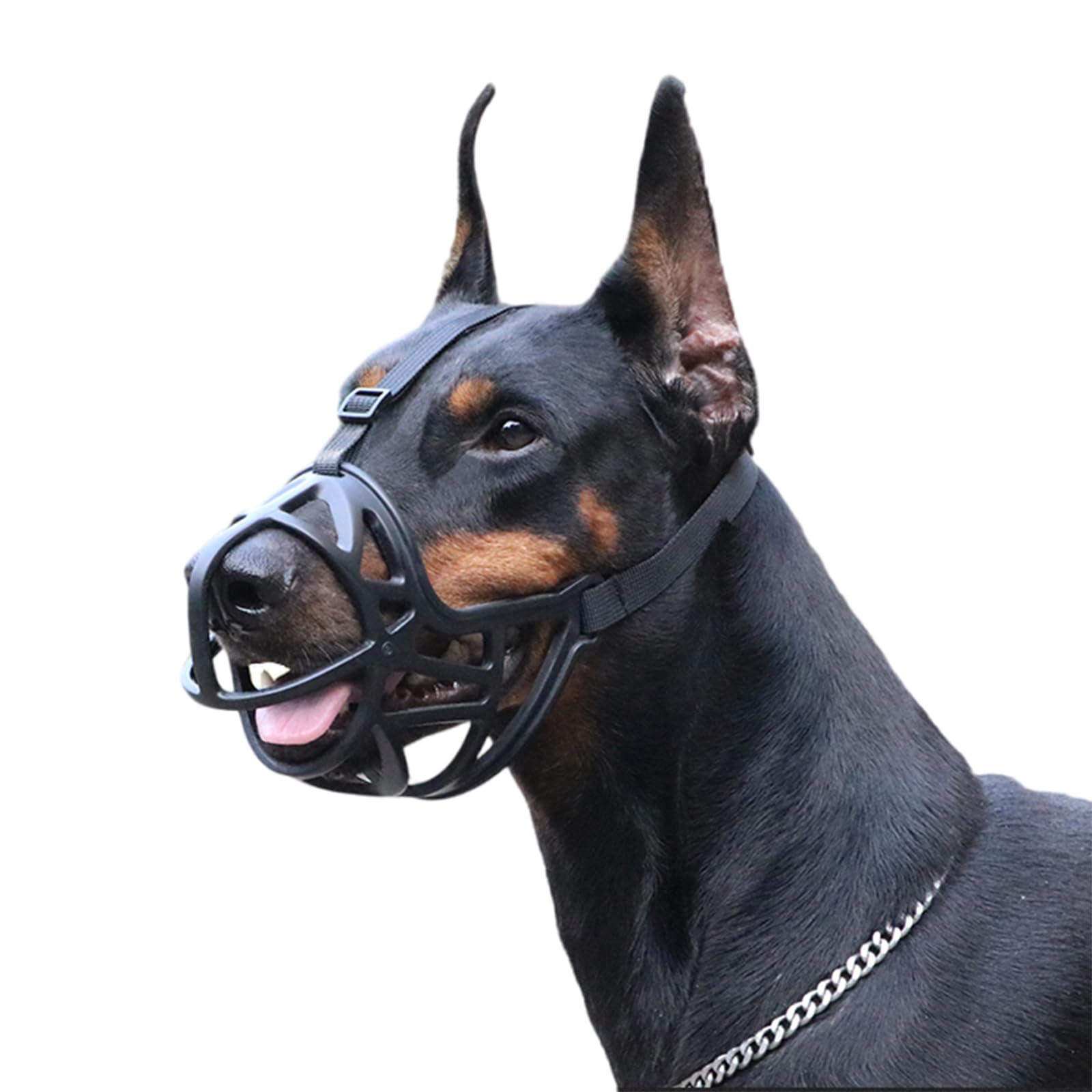 Bozal para Perros, Bozal Transpirable for Perros, bozal for Que Evita mordeduras, Ajustable, diseño humanizado, Permite jadear y Beber(M)