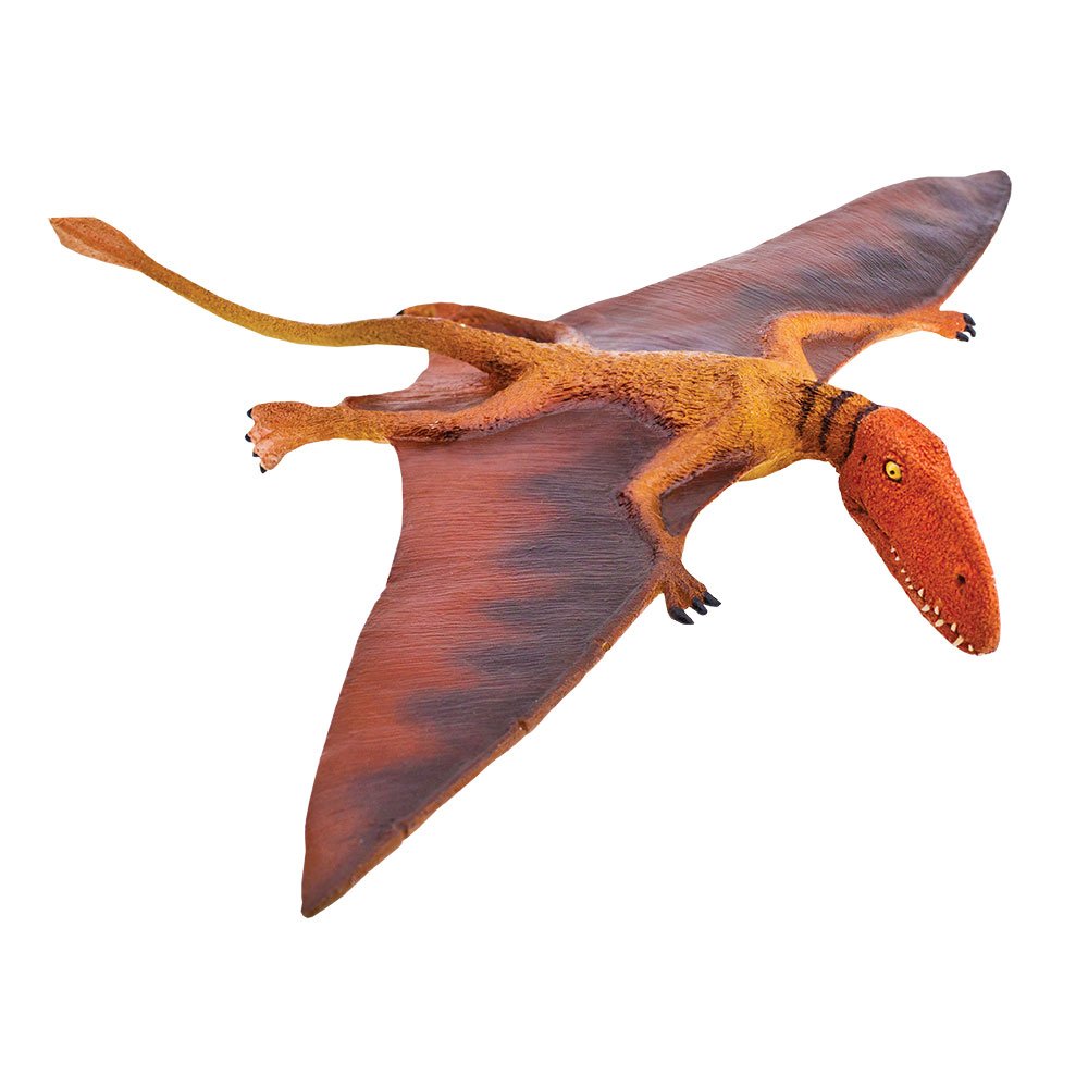Safari 304729 Dimorphodon