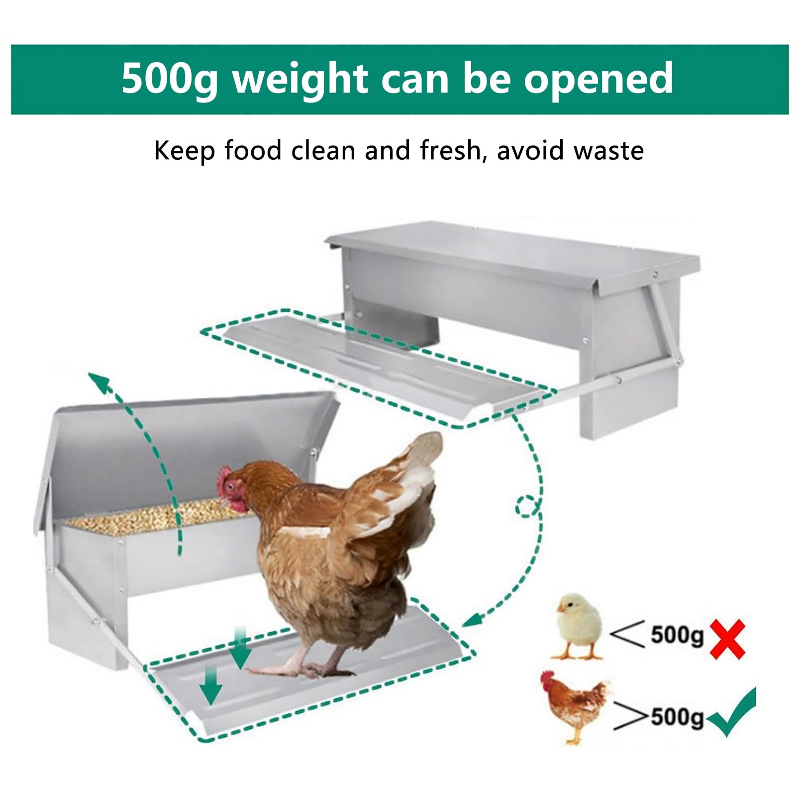 Mangiatoia per Galline Antitopo Grande capacità Mangiatoia Galline Automatica Pedale Antiscivolo Anti-Dumping Adatto per Polli Anatre E Oche di Grandi Dimensioni(10kg)