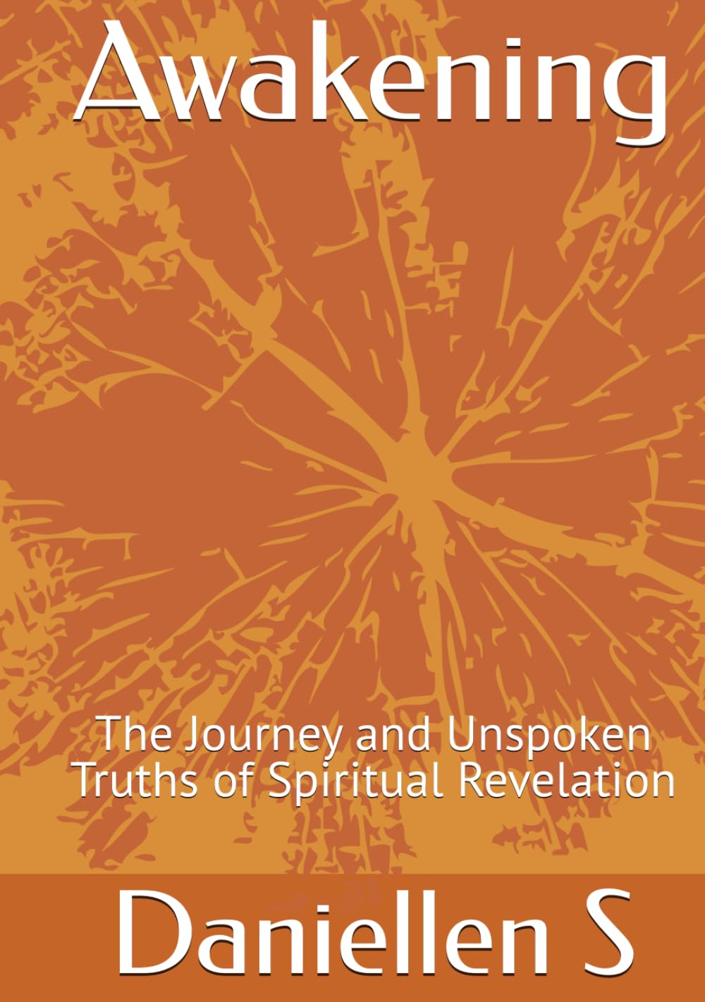 Awakening: The Journey and Unspoken Truths of Spiritual Revelation