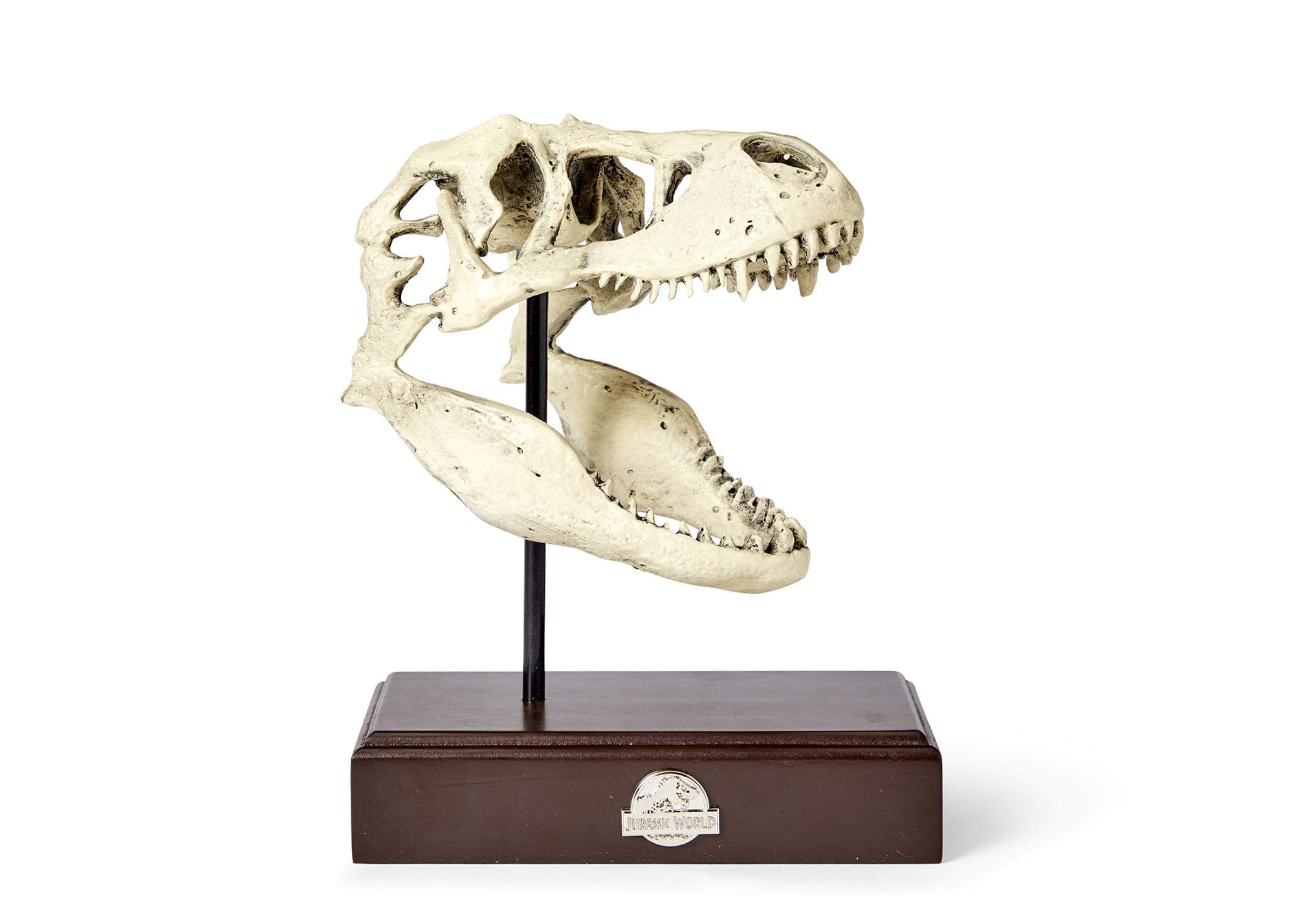 Jurassic World Tyrannosaurus Rex Skull Resin Replica 9x8Inch TRex