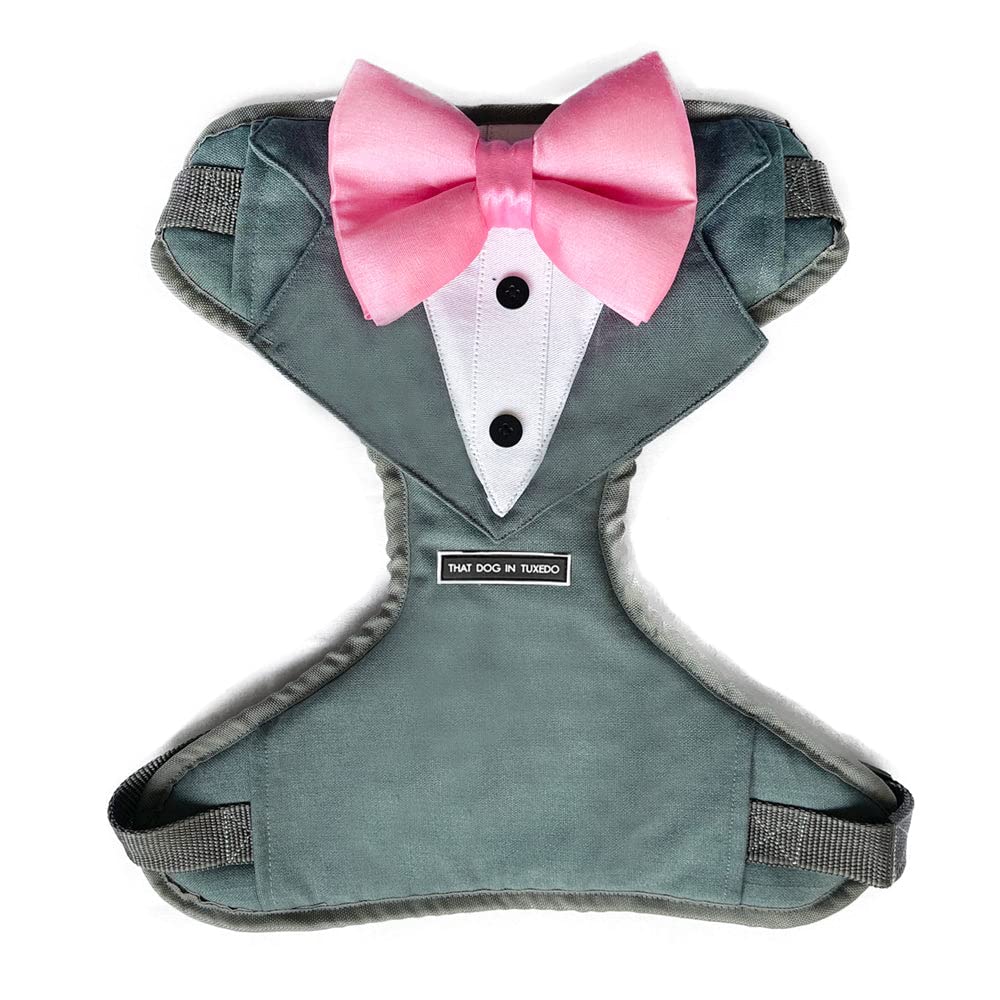 See full amazon price history chart for That Dog In Tuxedo Body Mesh Harness - Dog Tuxedo Harness (Grey, Size XL) That Dog In Tuxedo Body Mesh Harness - Dog Tuxedo Harness (Grey, Size XL) (B09X32QSY4) Amazon Price History, Amazon Price Tracker