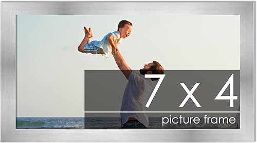 Miniatura 166 de Marco de 28 x 36 pulgadas de madera de peltre plateado con plexiglás acrílico UV, parte trasera de tablero de espuma y accesorios incluidos