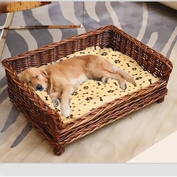 韓国 ラタンペットハウス　ベッド　犬小屋 韓国】 esopoom ♪人気 ラタンペットハウス(クッション付き