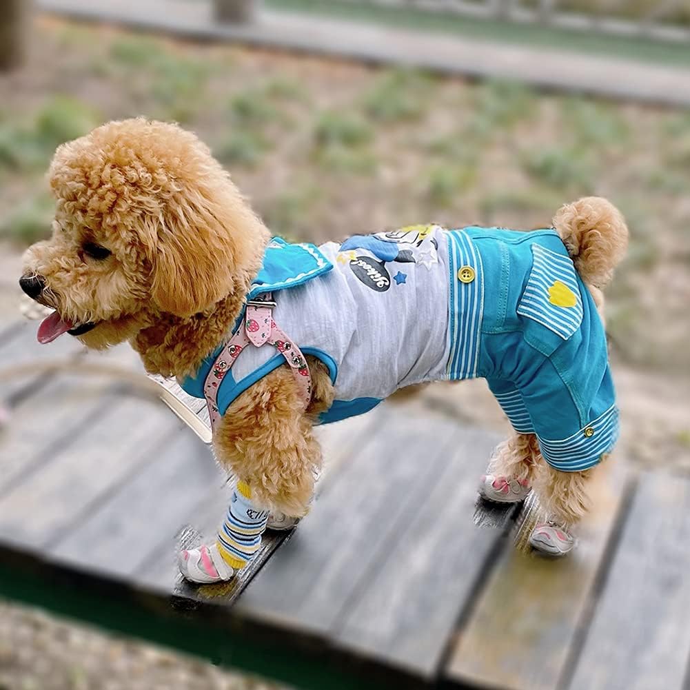 市場 ペットレッグウォーマー プードル わんちゃん用 M Xlサイズ s 犬用 L シーズー 柴犬 市場 ペットレッグウォーマー プードル わんちゃん用 M Xlサイズ s 犬用 L シーズー 柴犬