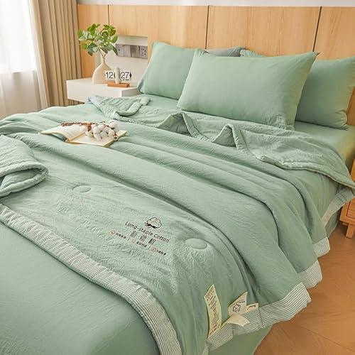 Yashe Haowu |zc 100 n[tTCY?i n |zc ĕzc RۖhL AM[΍ ɗD ې V