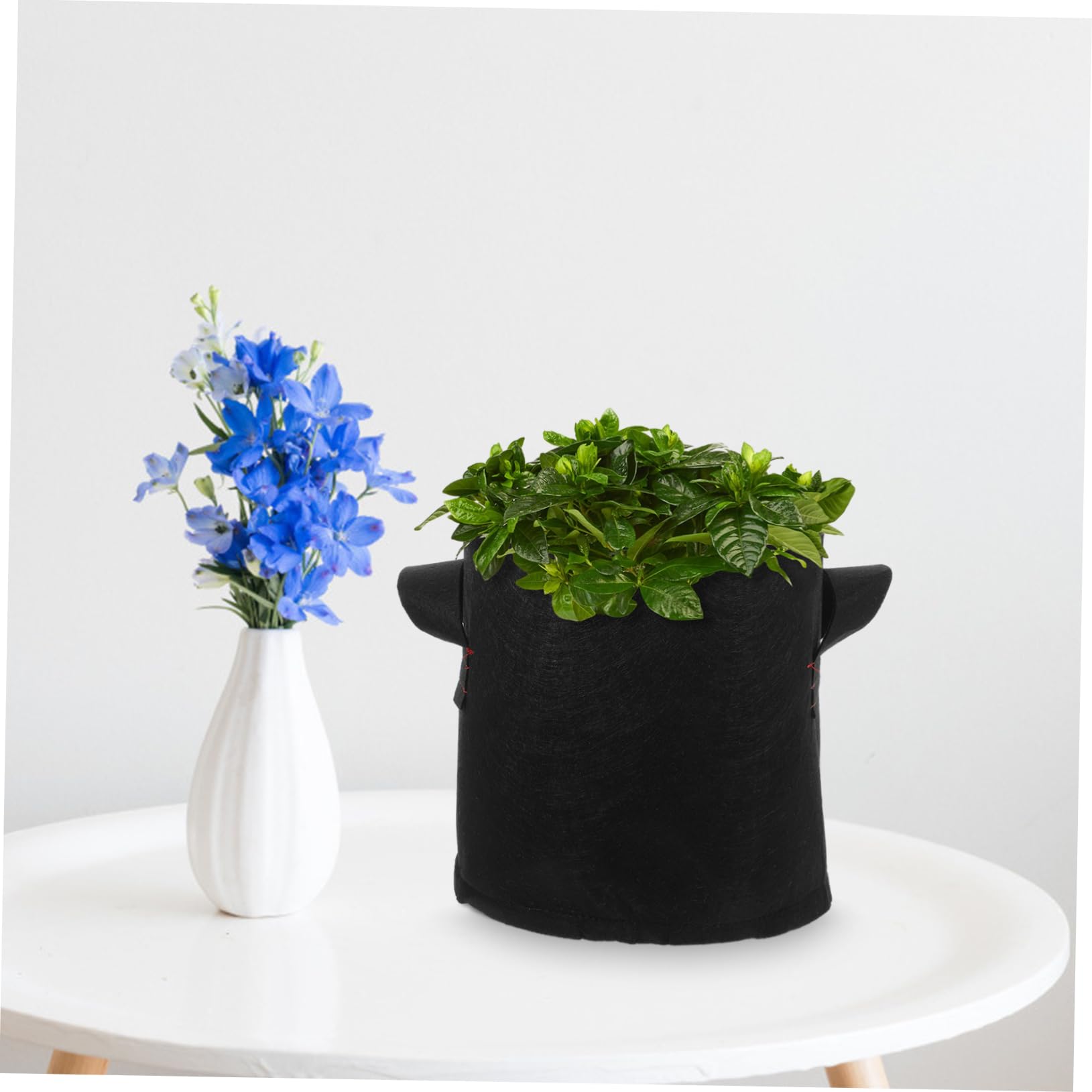 BESPORTBLE 12pièces Sacs De Culture Tissu Non Tissé pour Légumes Pommes De Terre Fleurs Et Fruits avec Poignées Latérales Et Fond Solide