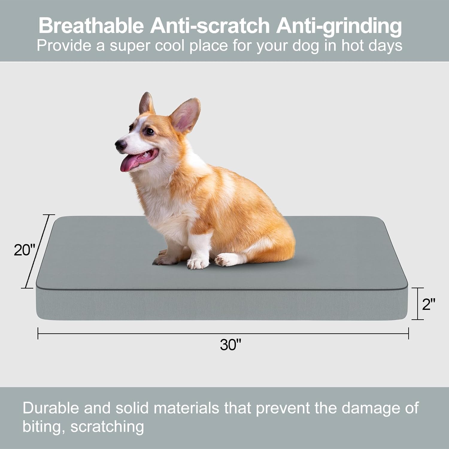 review Anti-Scratch Dog Bed for Medium Dogs, Anti-Grinding Firm Supportive Foam Pet Mat, 3D Cooling Breathable Cover Removable & Integrate Rinse Washable, 30x20 for Indoor & Outdoor Use，Medium Size