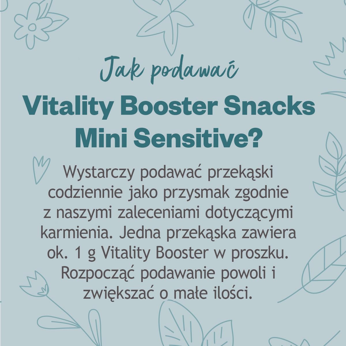 Grau - Oryginalny produkt - HOKAMIX30 Snack Petit Veggie, zdrowa wegetariańska przekąska z 30 ważnymi ziołami, 1 opakowanie (1 x 2,25 kg), karma uzupełniająca dla psów