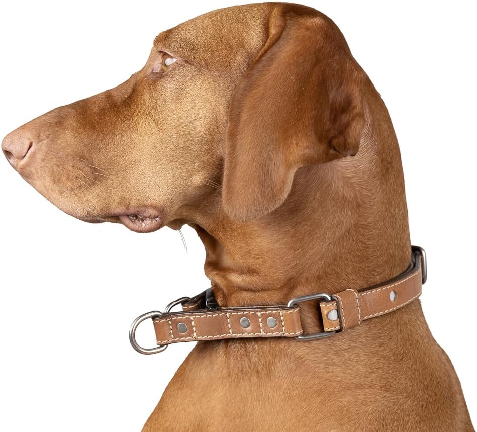 Leather Quick Release Reflective Dog Collar - Handcrafted - Full Grain Leather (Vegetable Tanned) - Stainless Steel Hardware - Cayenne Reflective Circles, Large