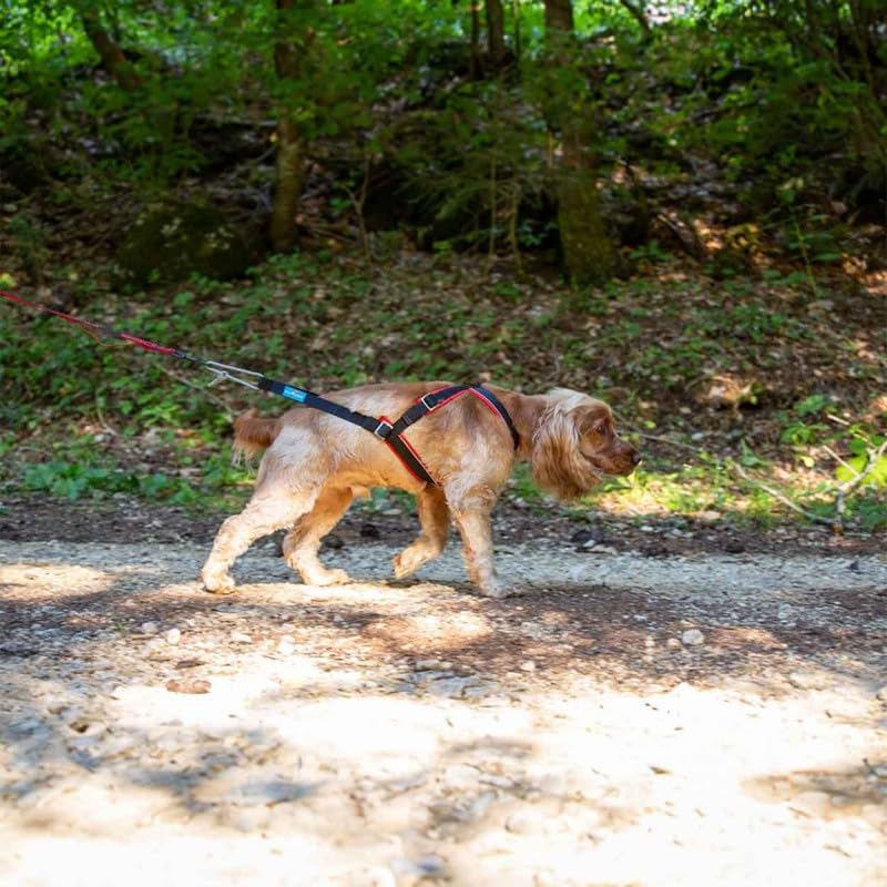 Inlandsis Canicross Geschirr für kleine Hunde, Open-Back