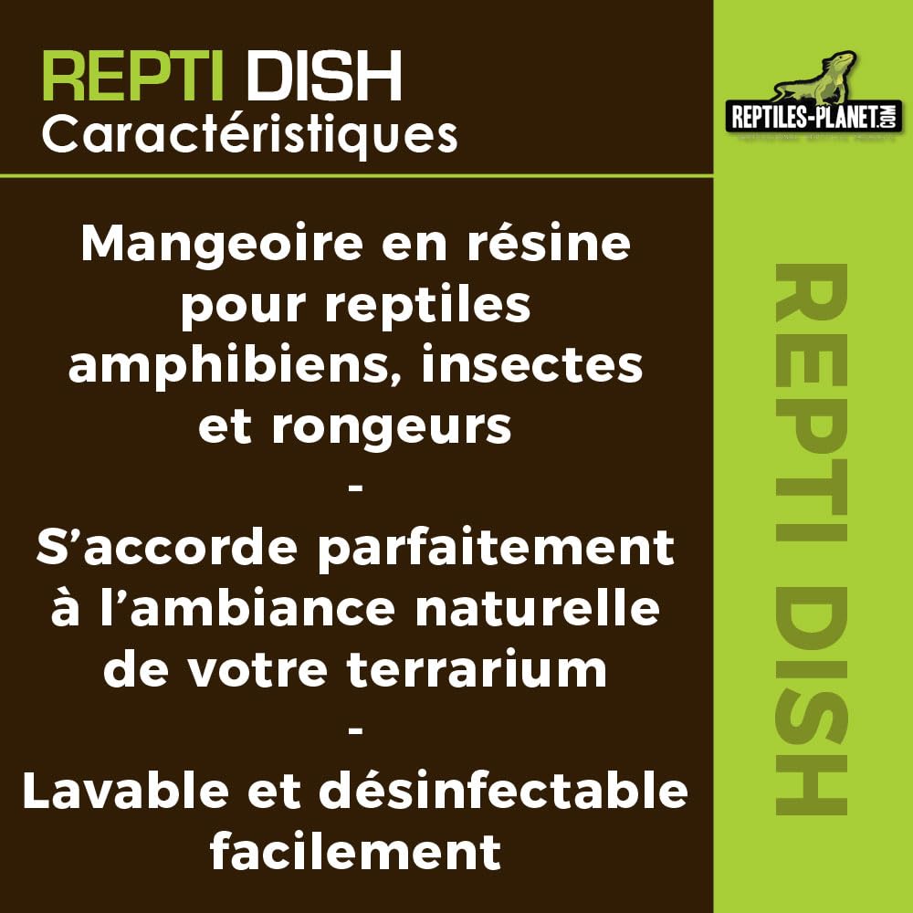 Reptiles Planet Repti Dish Deep M Gamelle pour Reptiles 12 x 11,5 x 8 cm