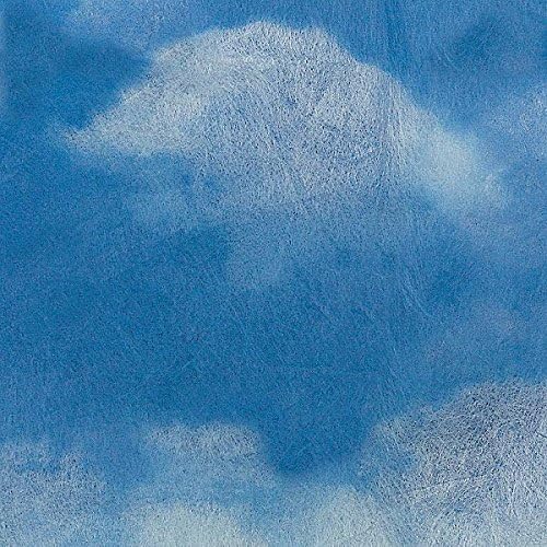 Anderson's Cloud Gossamer, 19 Inches x 25 Yards, Sheer Fabric for Wedding Decorations, Baby Shower, Gender Reveal, Prom, Homecoming, Event Photo Backdrops, Drapes