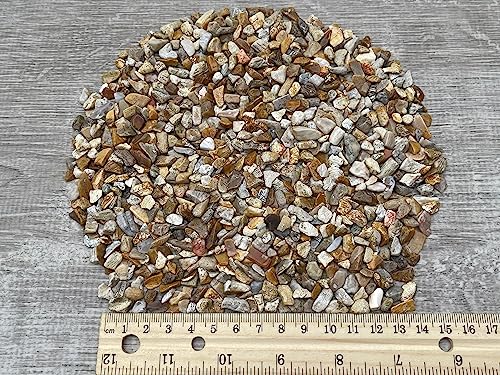 Image of Natural Semi Tumbled Fossil Coral Gemstone Chips - 2 oz Lot, Undrilled Crystal Chips