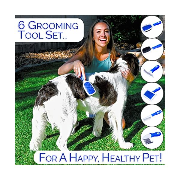 Horicon Pet 6-in-1-Premium-Hundebürsten-Set, Hundezubehör, Fellpflegebürsten – Kugelstift und Borstenbürste, gebogene Klinge, Entfilzungskamm, Zupfbürste, Enthaarungskamm und Entwirrungskamm für – Bild 3