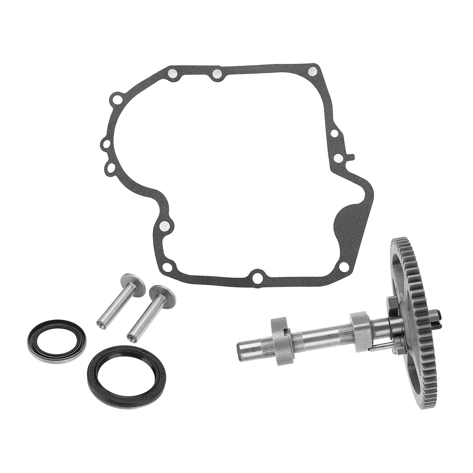 Qiilu Kit Albero a Camme Kit Albero a Camme 84005207 793880 793583 Kit Fasatura Albero a Camme Motore Guarnizione Carter Moto 697110 Ricambio per Fourtrax Rancher 2000-2006