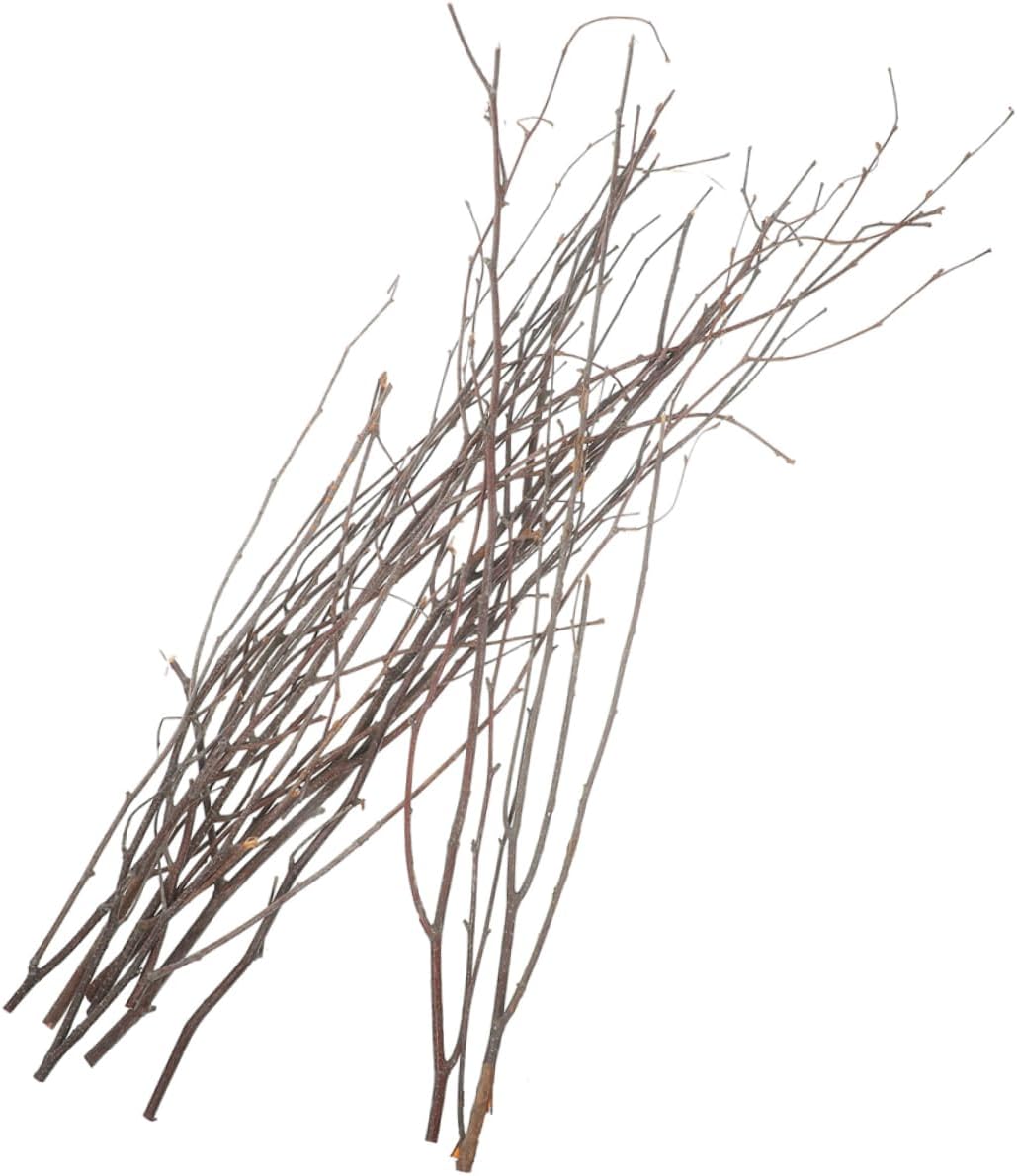 12pcs Home Plant Decorations Dried DIY Branches Branches for Party Supplies Festive Decorations Eye-catching Art Craft