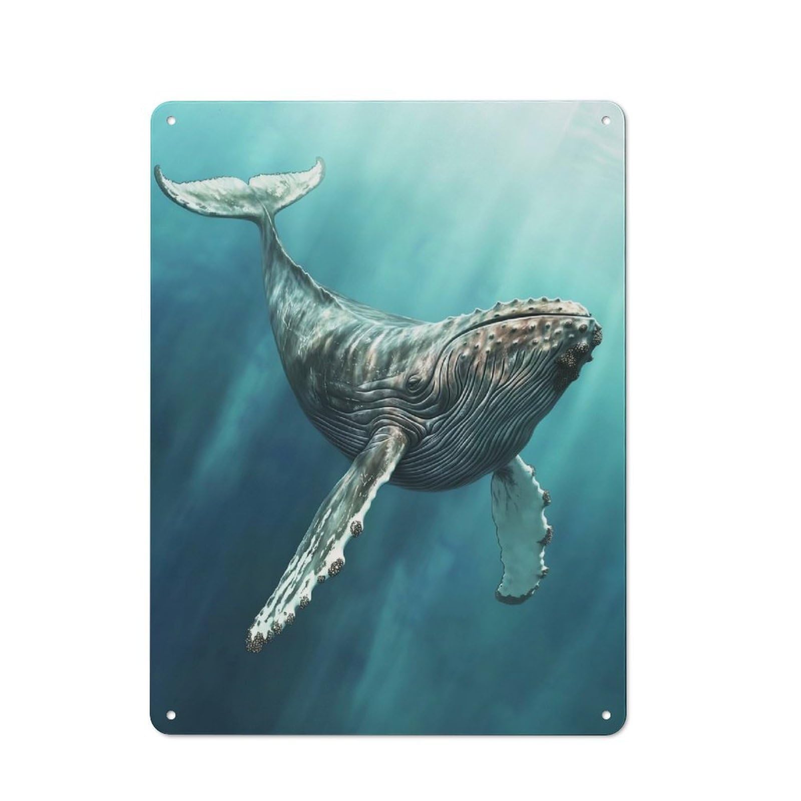 Junmoney Majestic Humpback Whale Rustic Metal Wall Sign 40X30cm For Kitchen Or Home Bar, Suited To Home Bar Enthusiasts