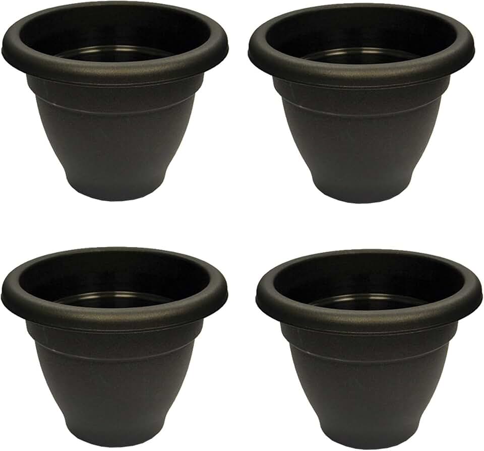 Amazon.co.uk Winchester