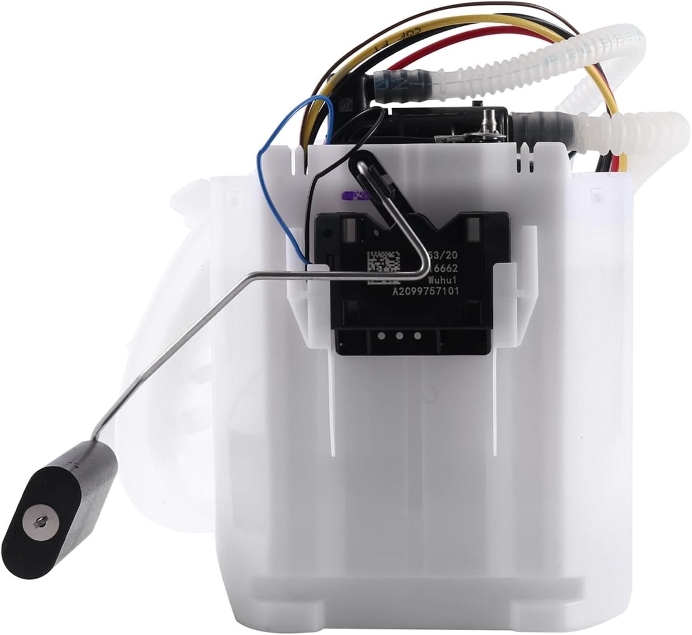 MONSTAX WITHMUU 当選品 直筆サイン入り ポラロイド ショヌ MONSTA X