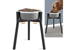 SHAINFUN Elevated Bowl Floor Stand