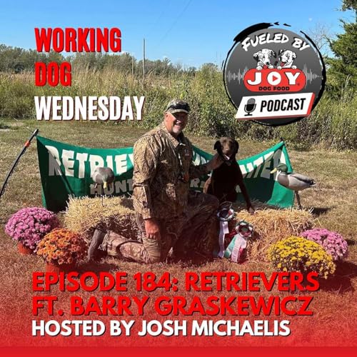 Episode 184: Retrievers Ft. Barry Graskewicz Podcast Por  arte de portada