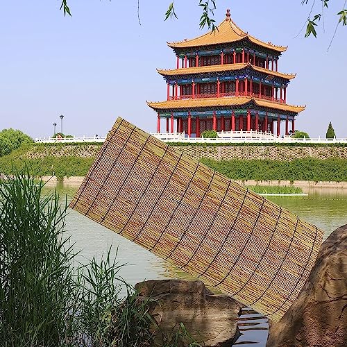 HynJGih Recinzione a Lamella Ecologica, Recinzione da Giardino, Pannelli di Recinzione for la Privacy for Cortile o Patio, schermatura a Lamella, Personalizzabile(120cmx300cm(3.9ftx 10ft))