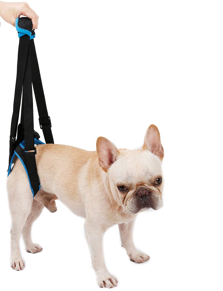 large dog sling