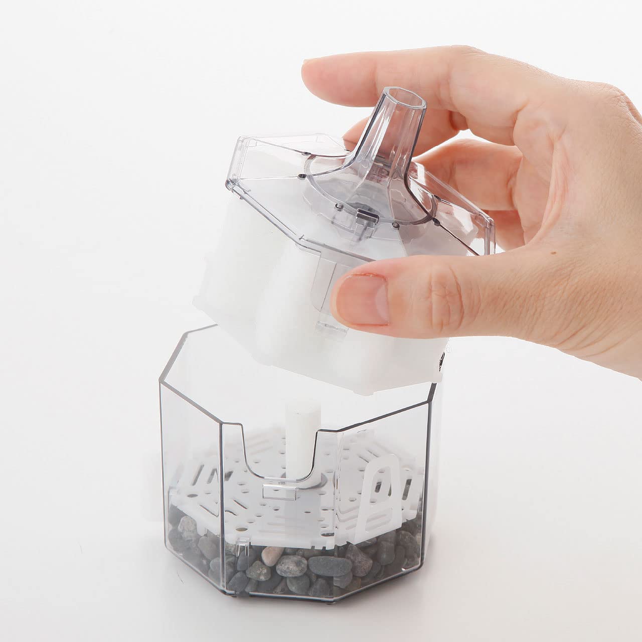 Amazon.co.jp: 水作エイトコアS 6点セット（本体＋交換ろ材＋活性炭