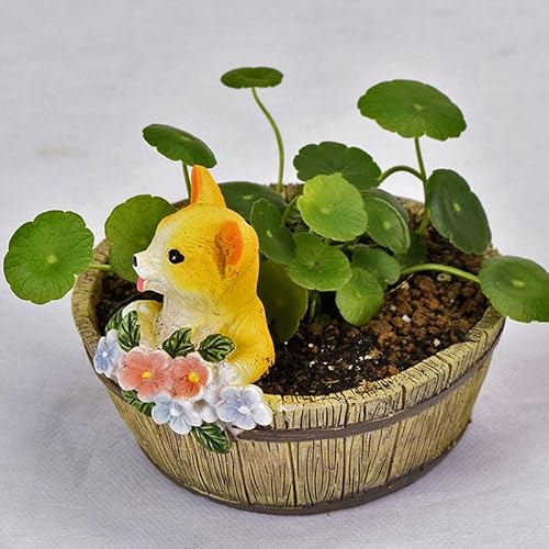 ؉(Kokka-en) CeA|bg Ɖ uE 10×s10×8cm Jo[ v^[ Aؔ K[fjO u IuWF