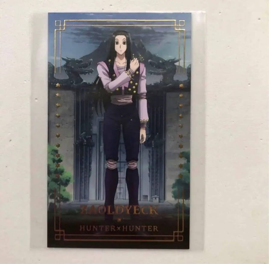 Amazon.co.jp: ハンターハンター イルミ カード アニメイトカフェ ゾル