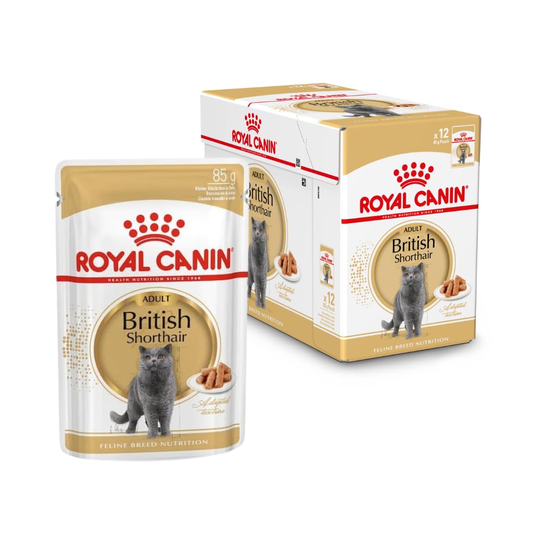 Royal Canin British Shorthair | dwupak | 2 x 12 x 85 g | mokra karma dla dorosłych brytyjskich kotów z krótkim włosiem | nadaje się od 12 miesiąca życia | małe kawałki sosu