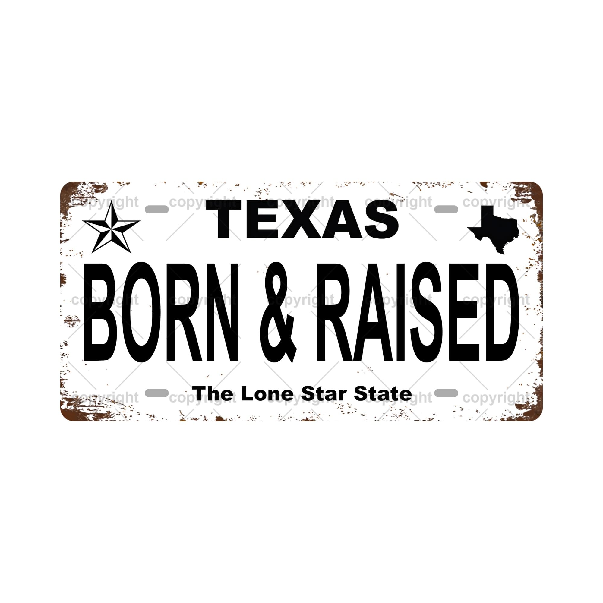 BORN & RAISED Texas Vintage Metal Tin Sign, License Plate, Home Decor, Room Decor, Wall Decor, Bathroom Decor, Bar Decor, Cafe Decor, Garage Decor, 12